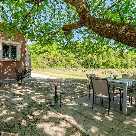La Petite Maison Dans La Vigne